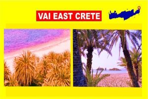 VAI-EAST-CRETE